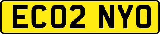 EC02NYO