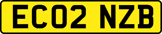 EC02NZB