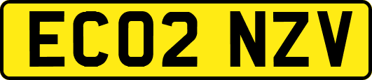 EC02NZV