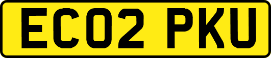 EC02PKU