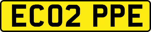 EC02PPE