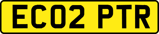 EC02PTR