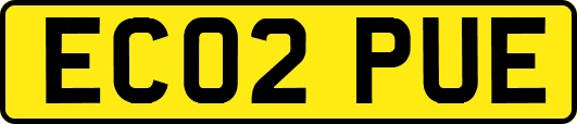 EC02PUE