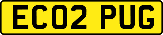 EC02PUG