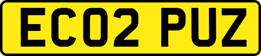 EC02PUZ