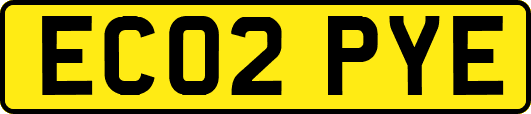 EC02PYE