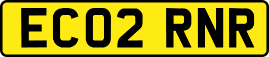 EC02RNR