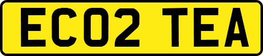 EC02TEA