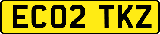 EC02TKZ