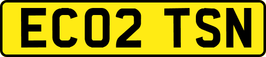 EC02TSN