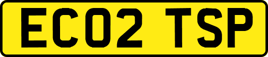 EC02TSP