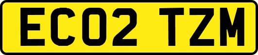 EC02TZM