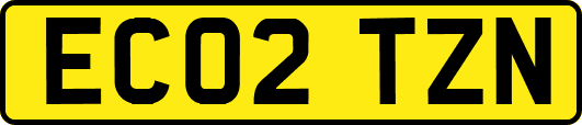 EC02TZN
