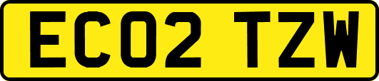 EC02TZW