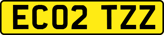 EC02TZZ