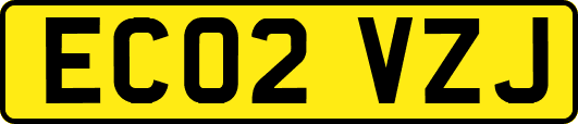 EC02VZJ