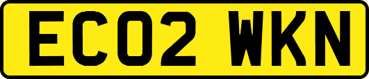 EC02WKN