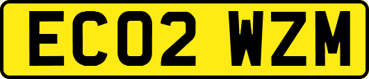 EC02WZM