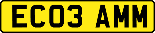 EC03AMM