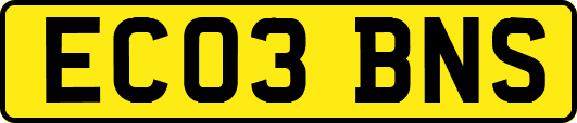 EC03BNS