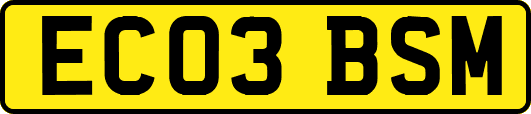 EC03BSM