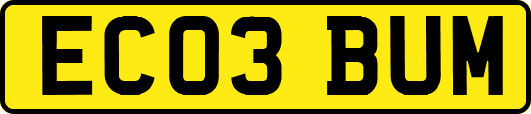 EC03BUM
