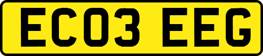 EC03EEG