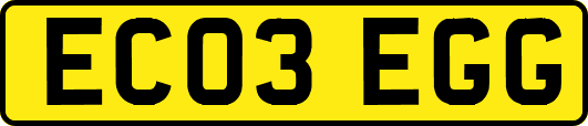 EC03EGG