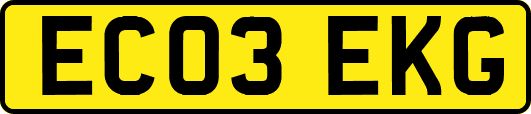 EC03EKG