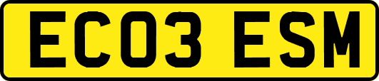 EC03ESM