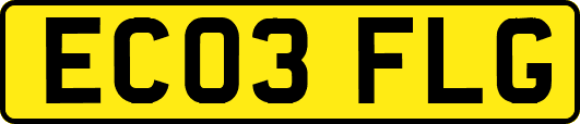 EC03FLG