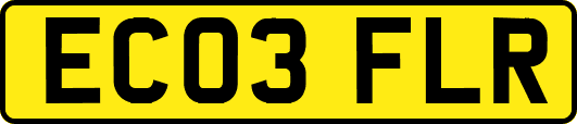 EC03FLR