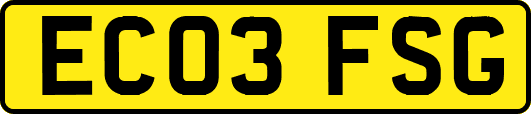 EC03FSG