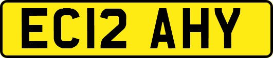 EC12AHY