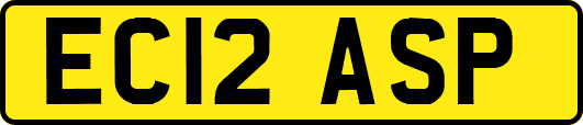 EC12ASP