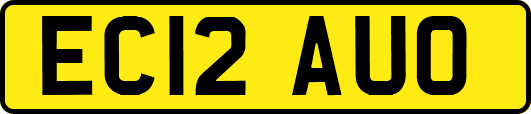 EC12AUO