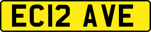 EC12AVE