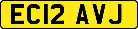 EC12AVJ
