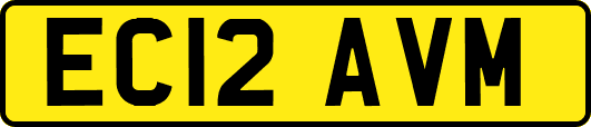 EC12AVM
