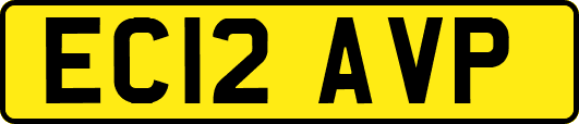 EC12AVP