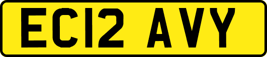 EC12AVY