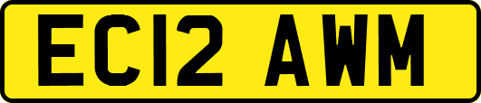 EC12AWM