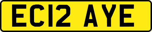 EC12AYE
