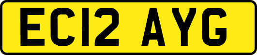 EC12AYG