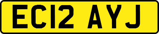 EC12AYJ