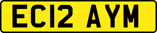 EC12AYM