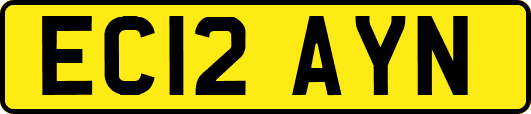 EC12AYN