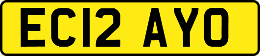 EC12AYO