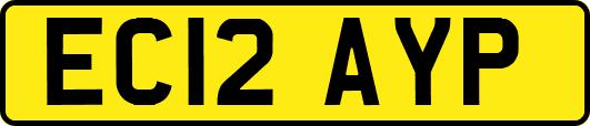 EC12AYP