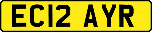 EC12AYR